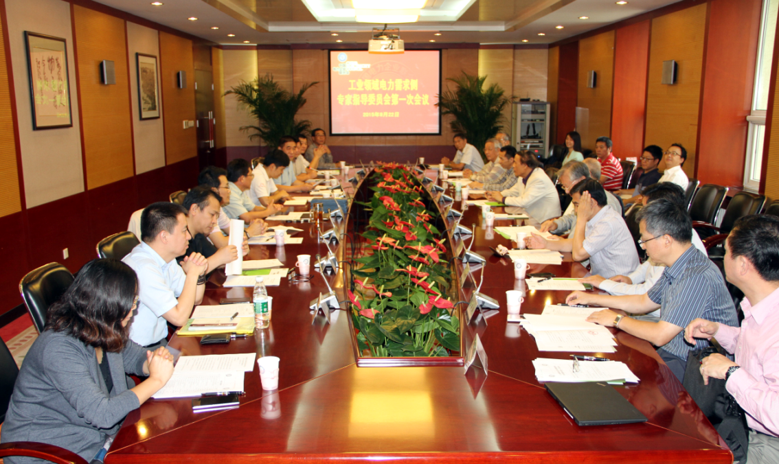工業(yè)領域電力需求側管理專家指導委員會第一次會議在京召開