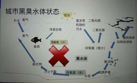 江蘇億元投資治污新技術(shù) 石墨烯能否治理黑臭水體？