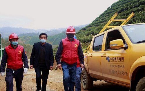 平塘供電局：“加減法”同構(gòu)服務(wù)，護航“貴州春茶第一壺”