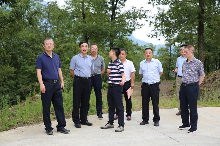 中國(guó)能建總經(jīng)理、黨委副書記孫洪水一行赴陜西鎮(zhèn)巴縣調(diào)研定點(diǎn)扶貧工作