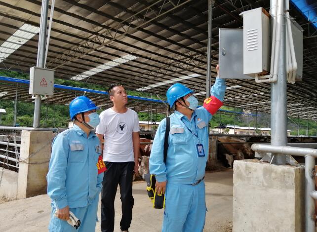 廣西寧明供電公司優(yōu)質(zhì)電力助力養(yǎng)殖事業(yè)越來越“?！? width=