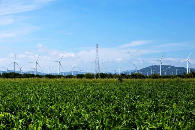 收購墨西哥818MW光伏電站，國家電投境外光伏電站裝機(jī)超6GW