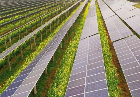 廣東清遠建設(shè)小型農(nóng)光互補光伏發(fā)電站，工程總投資1.5億元