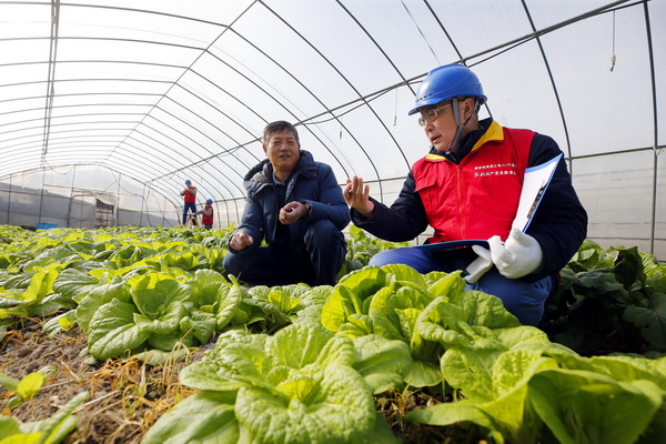 浙江寧波供電公司： 寒冬里，“電管家”守好百姓“菜籃子”