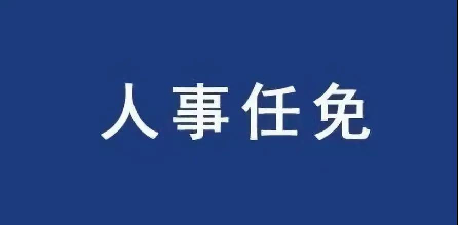 重磅！張智剛?cè)螄?guó)家電網(wǎng)總經(jīng)理、黨組副書記，韓君出任三峽集團(tuán)總經(jīng)理