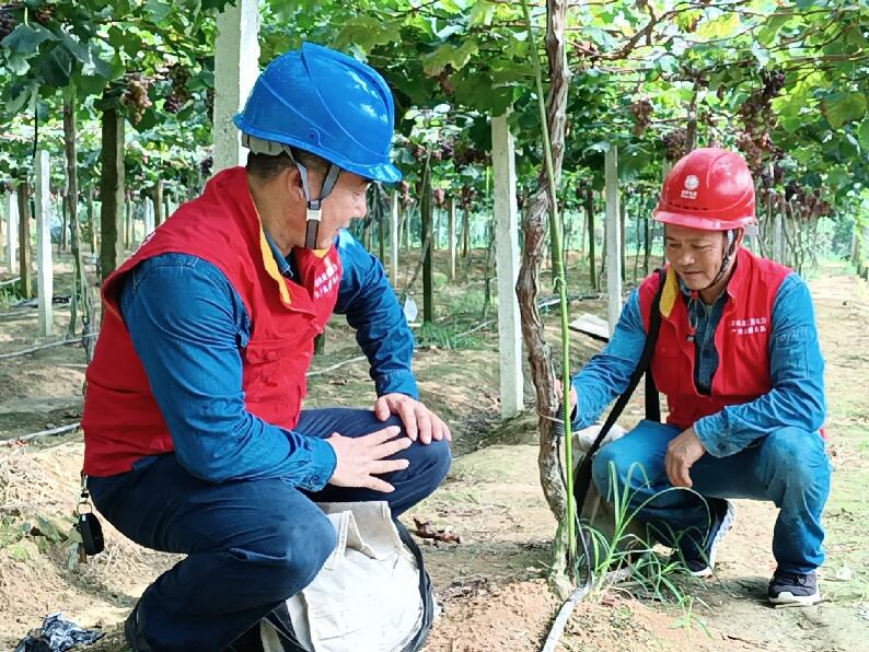 國網(wǎng)靖安縣供電公司: 電“靚”果甜樂農家