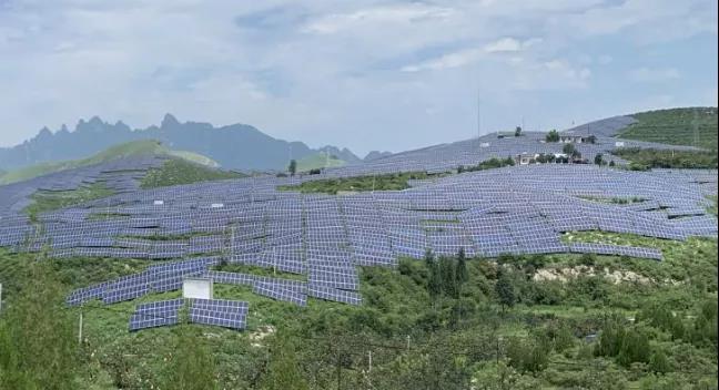 少長(zhǎng)一棵草，多發(fā)一度電，助力碳中和