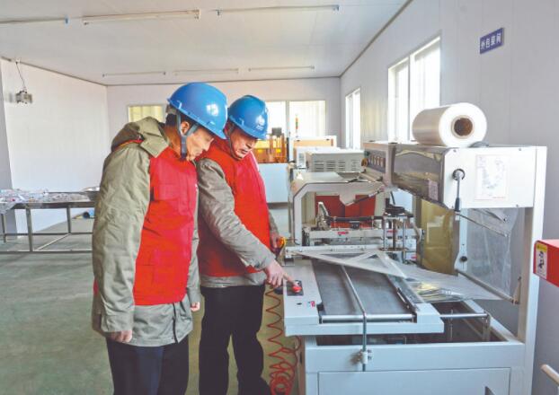 濱?？h供電公司：白首烏產(chǎn)業(yè)發(fā)展充上“滿格電”