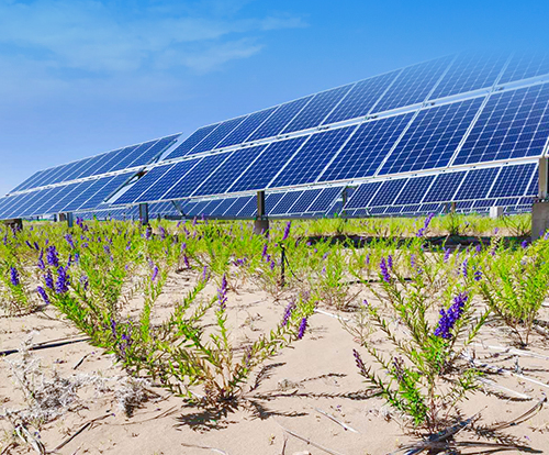 光伏治沙+風光大基地，寧夏“走出”生態(tài)保護和高質(zhì)量發(fā)展新道路