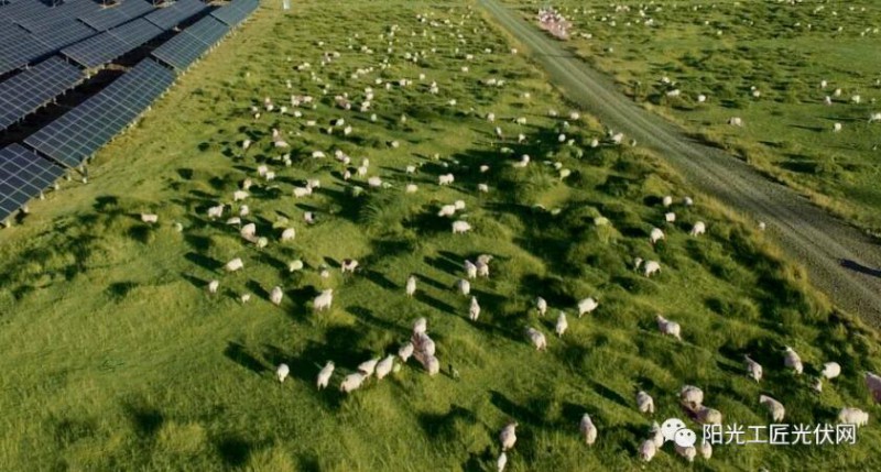 面積接近一個新加坡！青海塔拉灘光伏電站照亮“陽光之路”