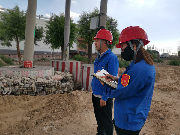 烏海市千里山供電分公司開(kāi)展“擔(dān)使命，展作為，黨員巡線(xiàn)當(dāng)先鋒”主題黨日