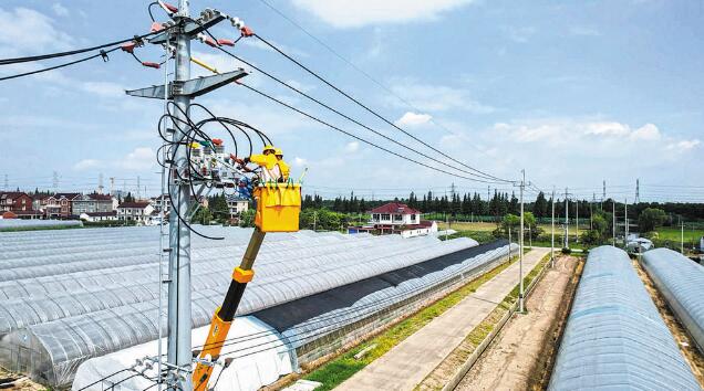 江蘇蘇州供電公司:優(yōu)化配網分級保護 快速隔離故障