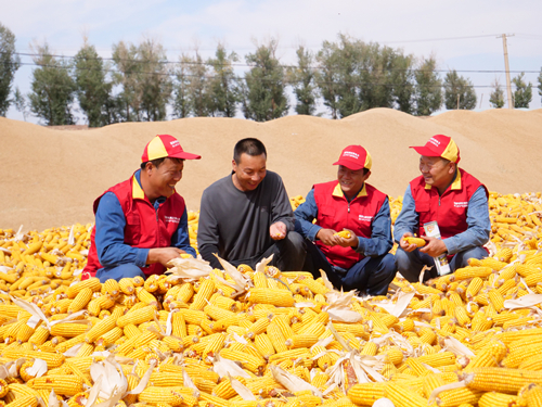 沿著總書(shū)記的足跡|千里隴原，絢麗多彩