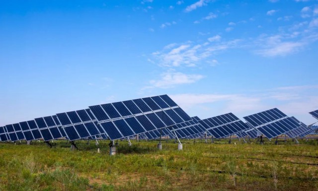 光伏新變局：穿越周期、不懼競爭