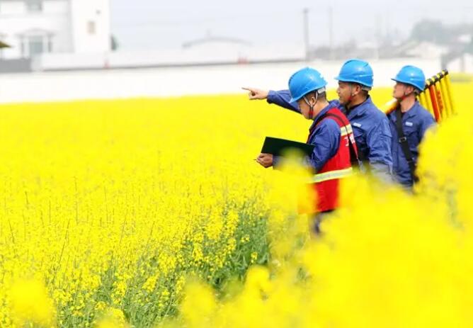 四川德陽(yáng):電力為農(nóng)業(yè)農(nóng)村現(xiàn)代化添動(dòng)能