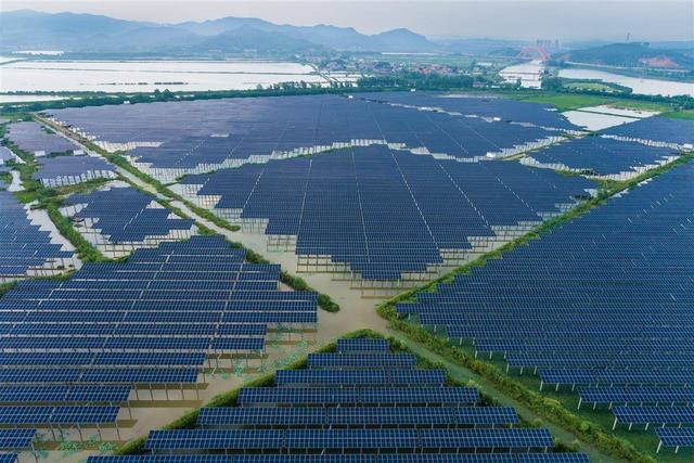 水上發(fā)電，水下養(yǎng)魚!黃石“漁光互補(bǔ)”綠色興農(nóng)