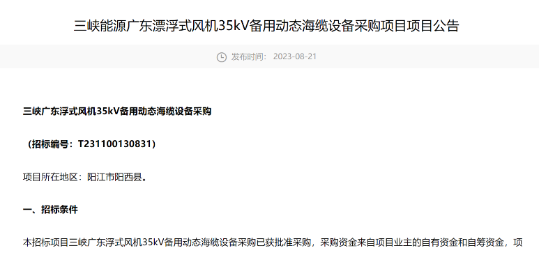 三峽能源廣東漂浮式風(fēng)機(jī)35kV備用動態(tài)海纜設(shè)備采購招標(biāo)