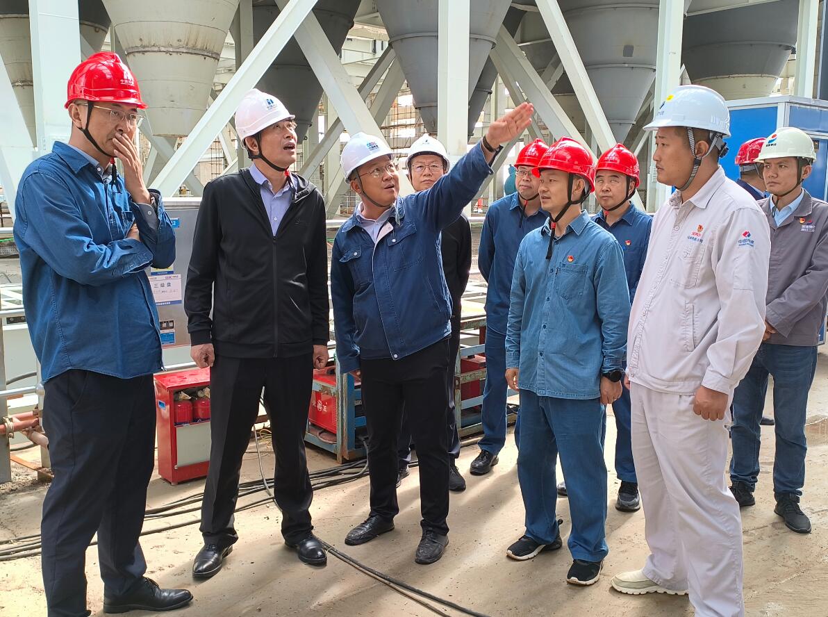 華能甘肅公司黨委書(shū)記、董事長(zhǎng)張東輝到正寧百萬(wàn)項(xiàng)目檢查指導(dǎo)