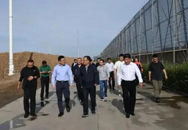 內(nèi)蒙古專項督查組蒞臨龍基生物質(zhì)熱電項目考察，助力鄉(xiāng)村振興發(fā)展