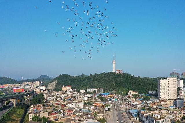 日“吞”垃圾500噸，年“吐”電能超億度!清鎮(zhèn)市首個生活垃圾焚燒發(fā)電項目并網(wǎng)發(fā)電