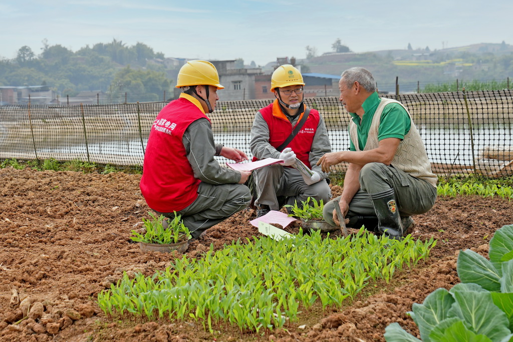 重慶合川:電力護(hù)春耕 不負(fù)好農(nóng)時(shí)