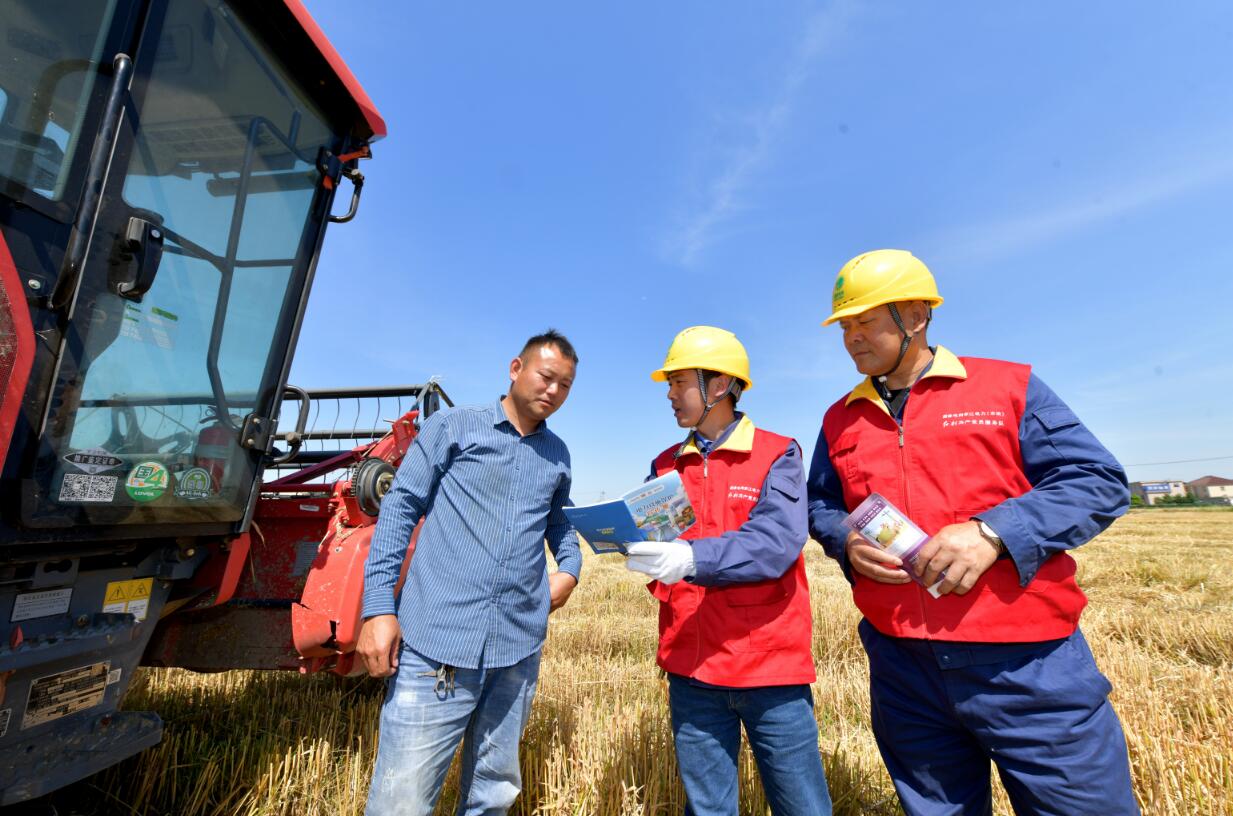 國(guó)網(wǎng)余姚市供電公司風(fēng)吹麥浪正豐收電力助農(nóng)滿倉歸