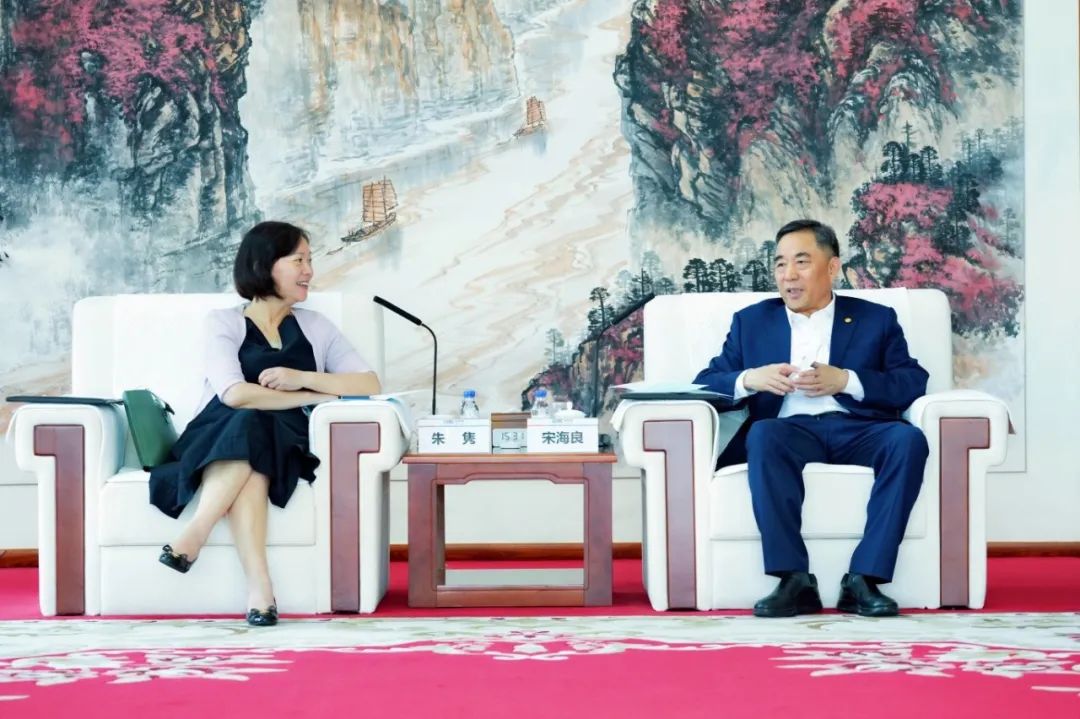 中國能建黨委書記、董事長宋海良與絲路基金董事長朱雋會談