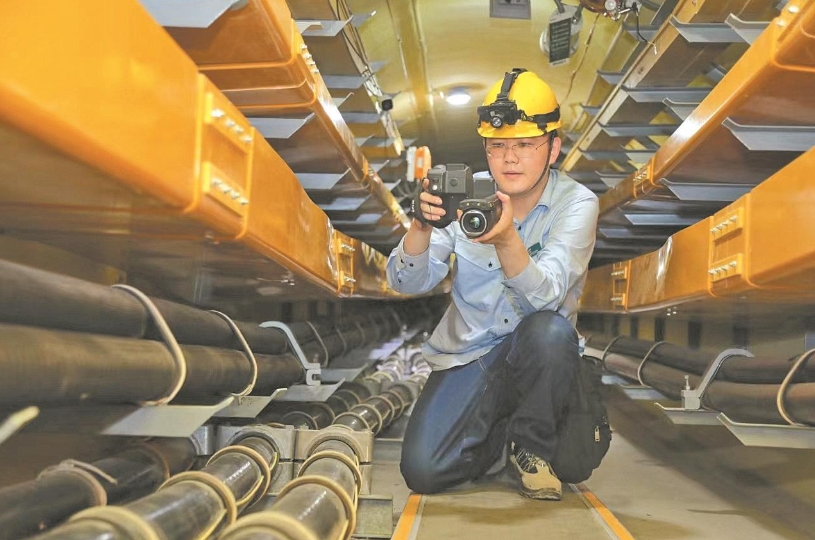 董力文：向下扎根，向上生長