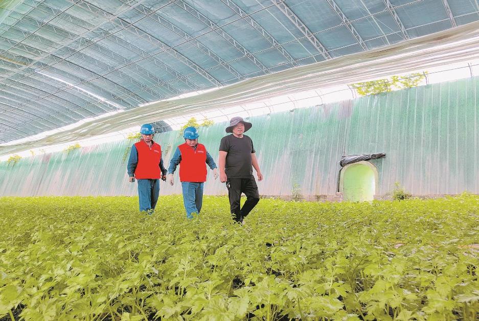 寧夏賀蘭縣：賀蘭山下，稻香魚肥