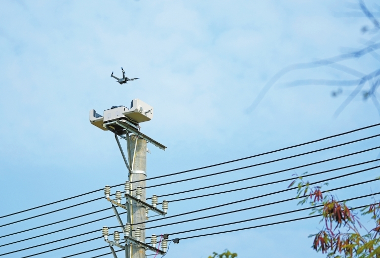 廣西解鎖低空經濟應用新場景