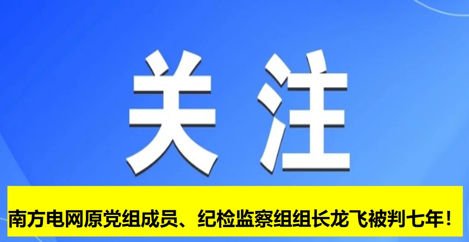 南方電網(wǎng)原黨組成員、紀(jì)檢監(jiān)察組組長龍飛被判